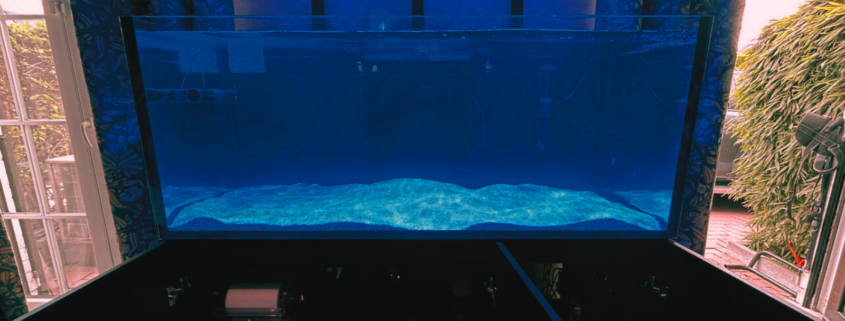 aquarium red sea à liège